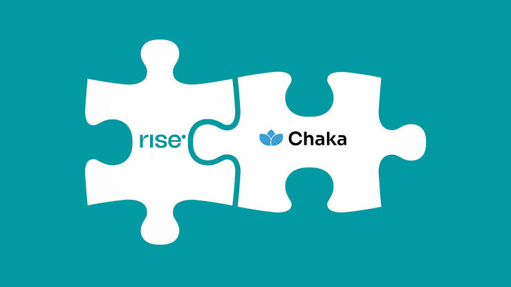 Nigerian Fintech Startups Risevest and Chaka Merge, Reflecting Consolidation Trend in Africa