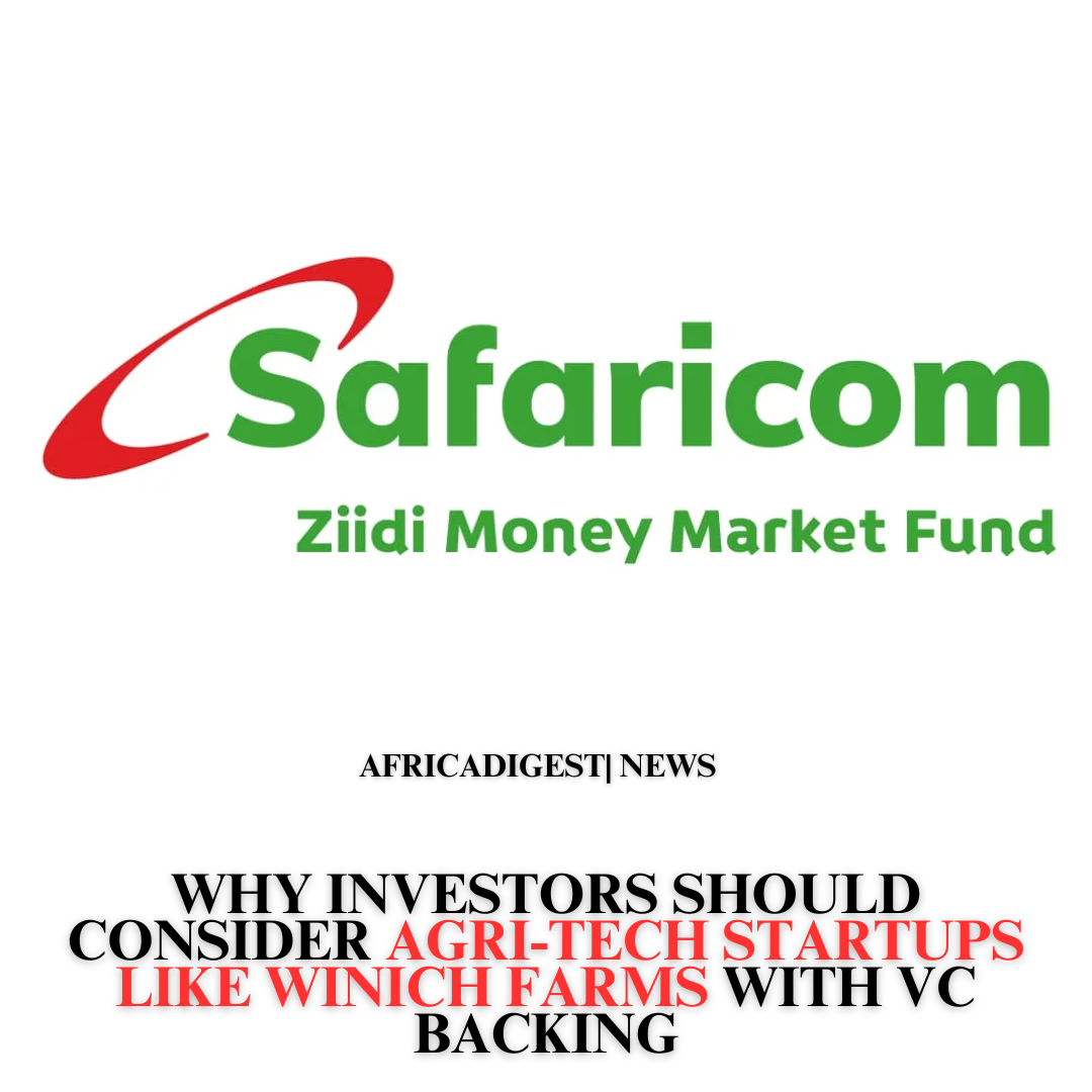 What Financial Market Participants Need to Know Before Ziidi’s Probe Concludes