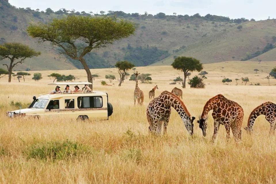What IFC and Alterra See in East Africa’s Post-Pandemic Tourism Potential with $10M Investment