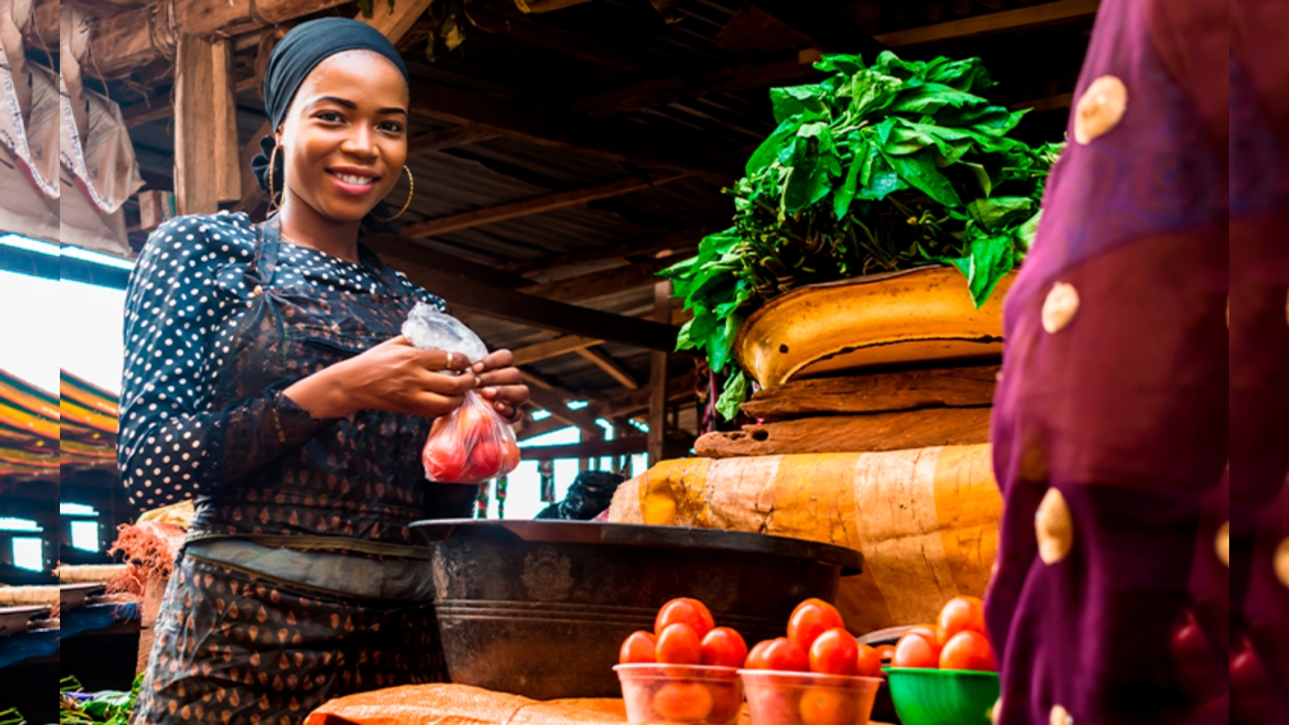 Which African SMEs Could Benefit From IFC’s $50 Million Adenia Investment?