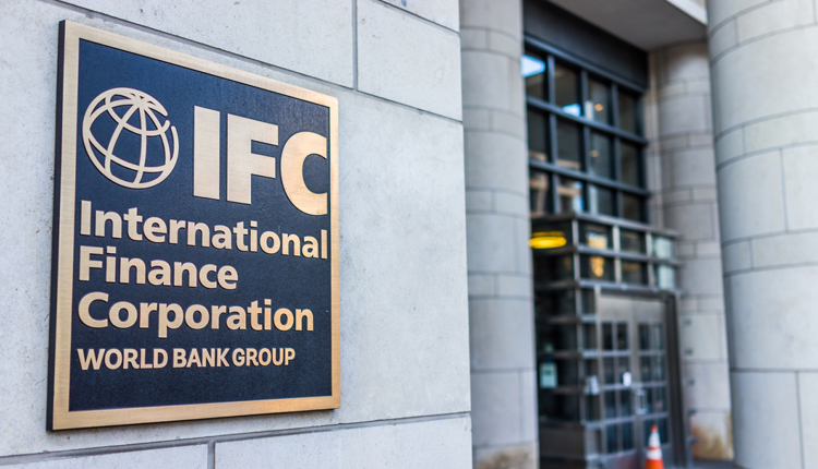 How IFC’s $200 Million+ Commitments Aim to Strengthen Egypt’s Private Sector