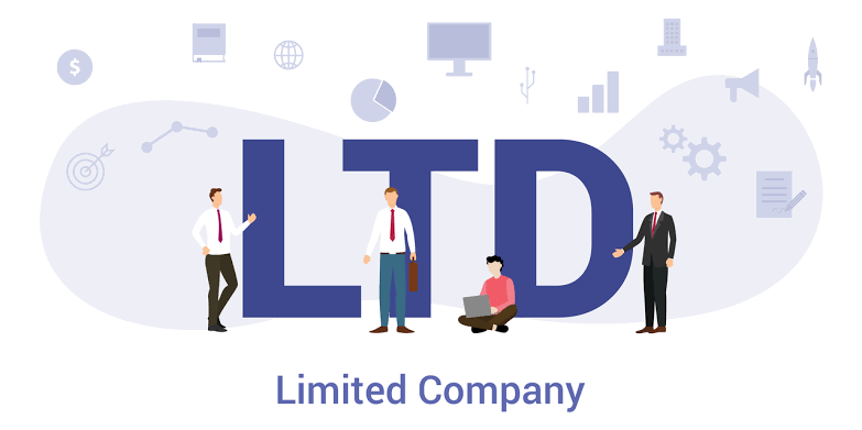 What Is a Limited Company? Meaning and How It Differs From Sole Proprietorship