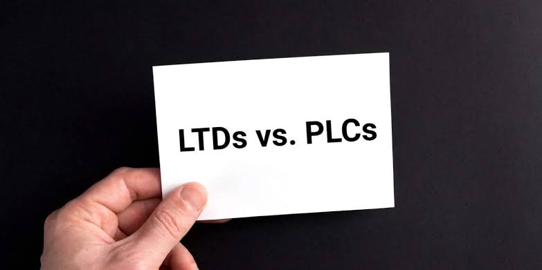 Key Differences Between Private and Public Limited Companies (Ltd and PLC)
