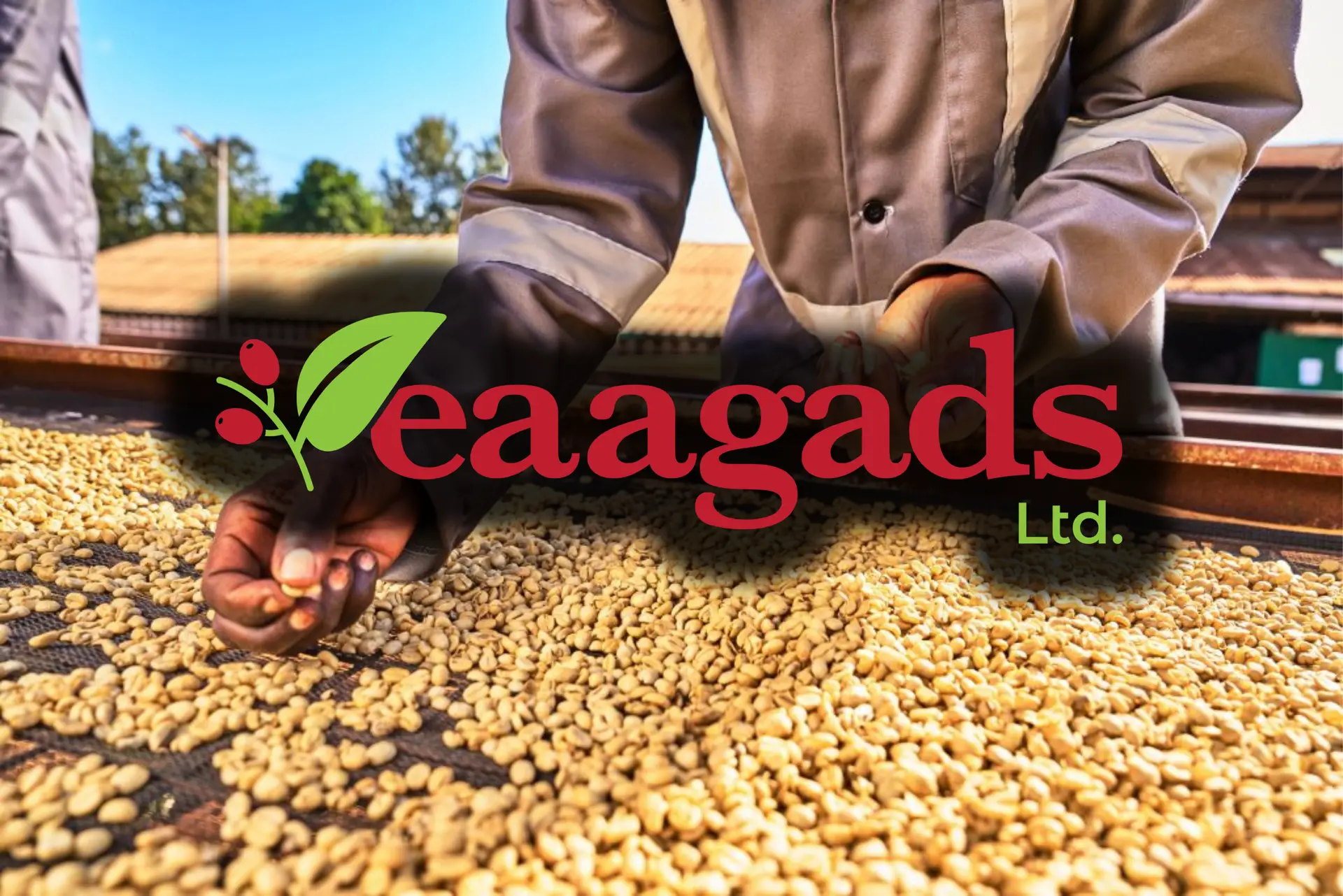 Inside NSE:Eaagads (EGAD)